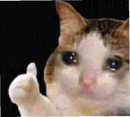 ảnh meme cat biểu cảm cười nhe răng
