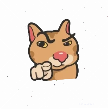 ảnh meme cat homie