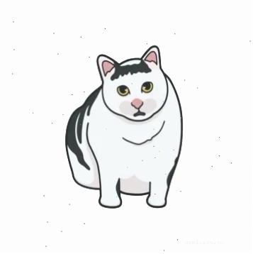 ảnh meme cat phiền