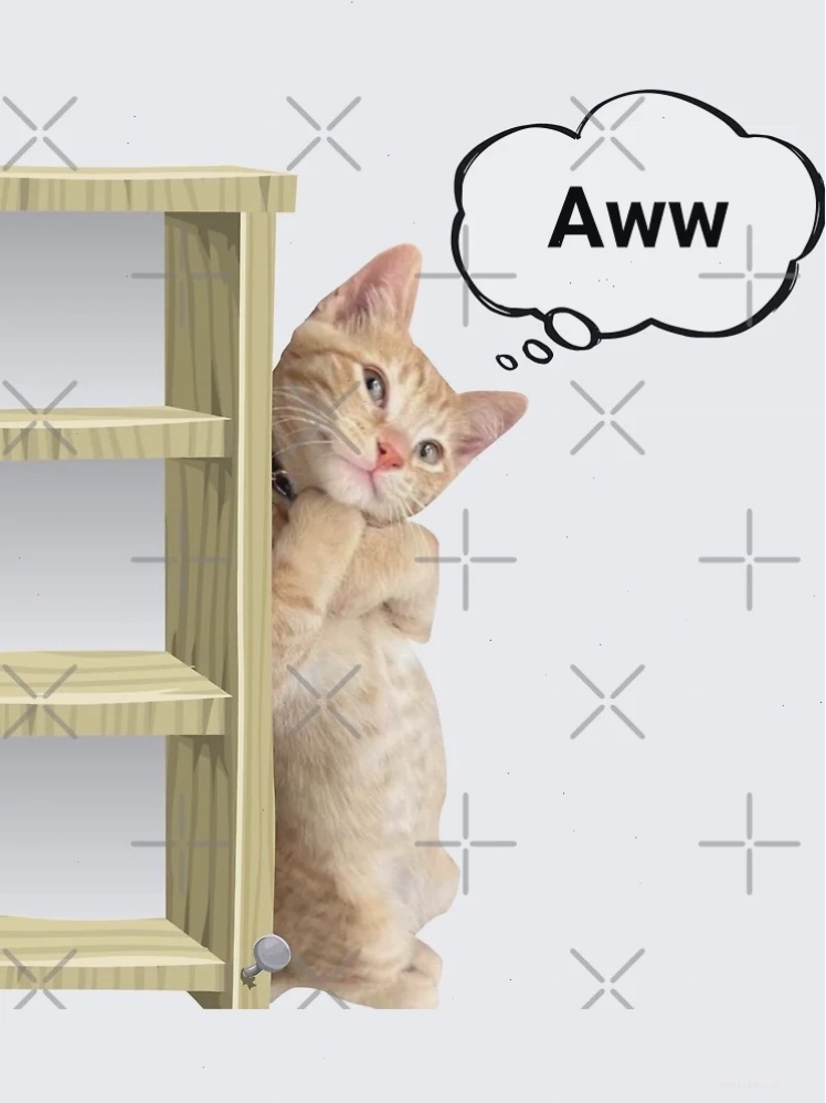 ảnh meme cat sinh tố