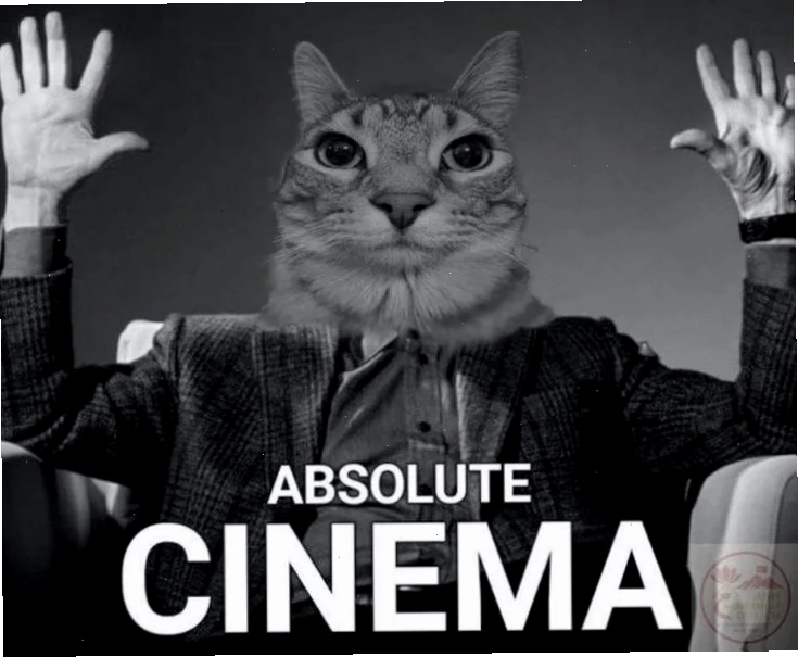 ảnh meme cat thấy rồi