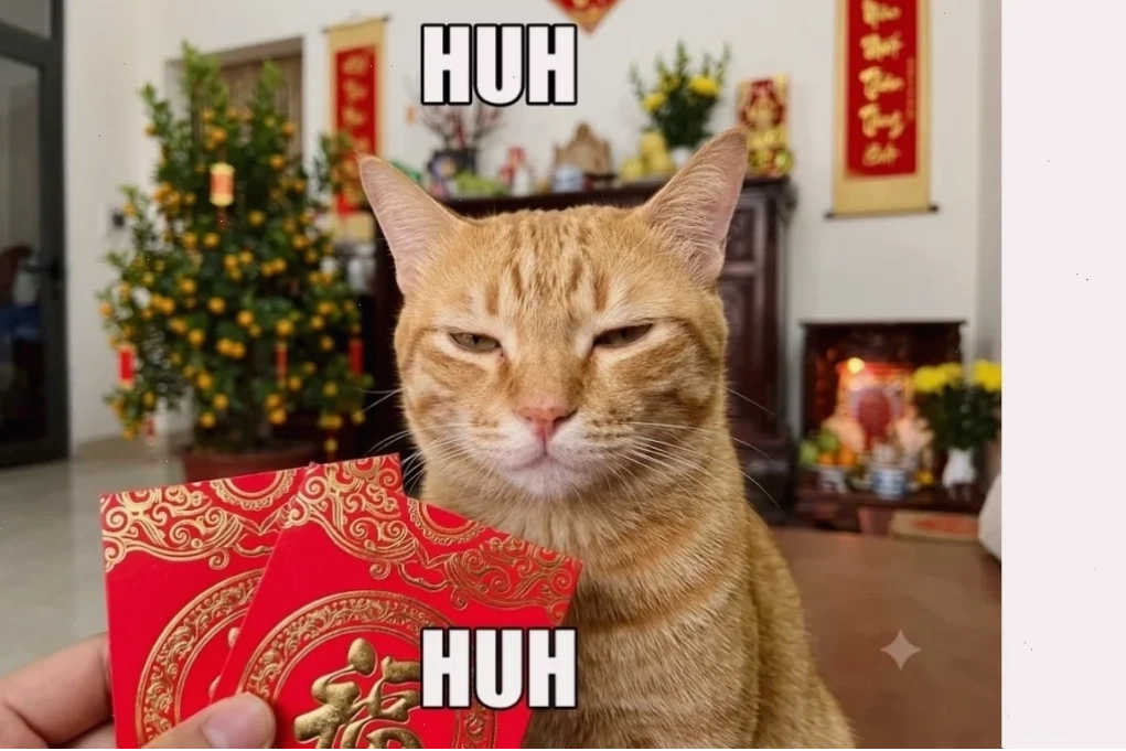 ảnh meme cat vô tri