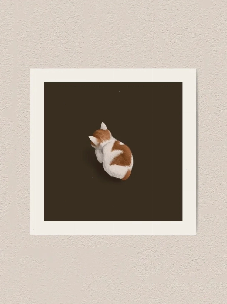ảnh meme cat xinh