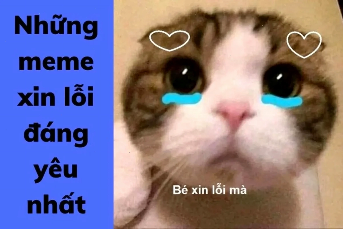 Ảnh meme cầu xin với đôi mắt mở to