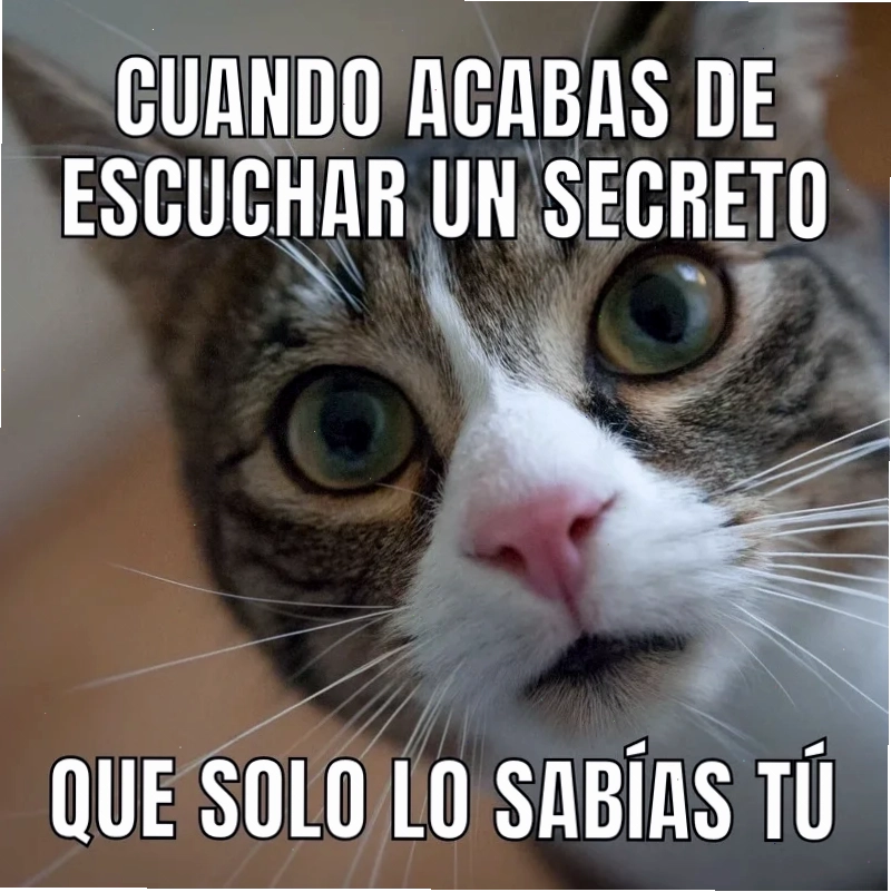 Ảnh meme de bắt trend
