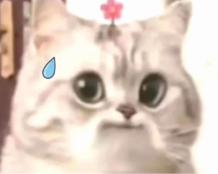ảnh meme đổ mồ hôi