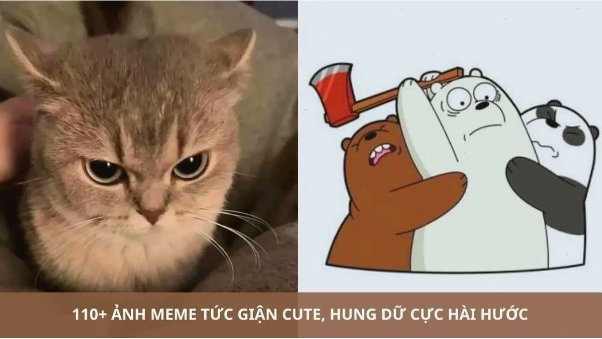 ảnh meme đổ mồ hôi