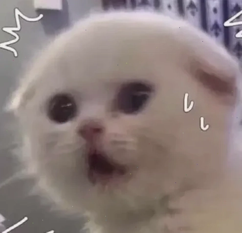 ảnh meme đổ mồ hôi