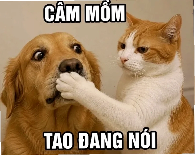 ảnh meme đổ mồ hôi
