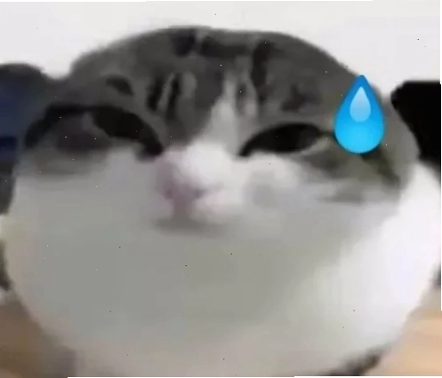 ảnh meme đổ mồ hôi