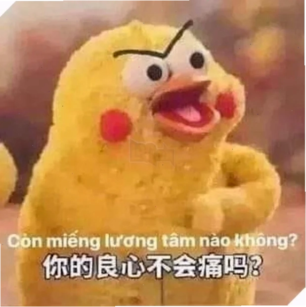ảnh meme không quan tâm cực hot
