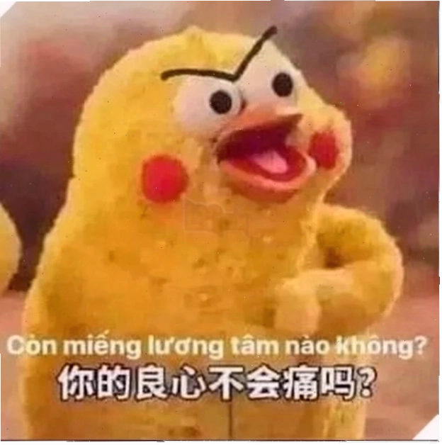 ảnh meme không quan tâm cực hot