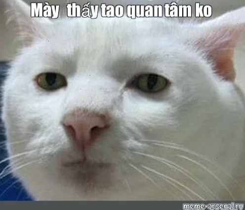 anh meme không quan tâm đẹp