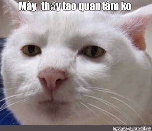 anh meme không quan tâm đẹp