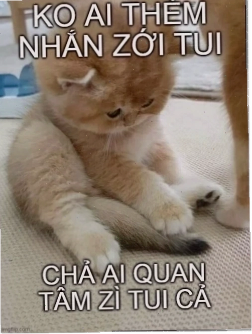 anh meme không quan tâm tinh tế