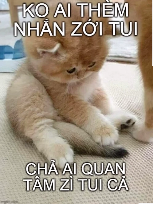 anh meme không quan tâm tinh tế