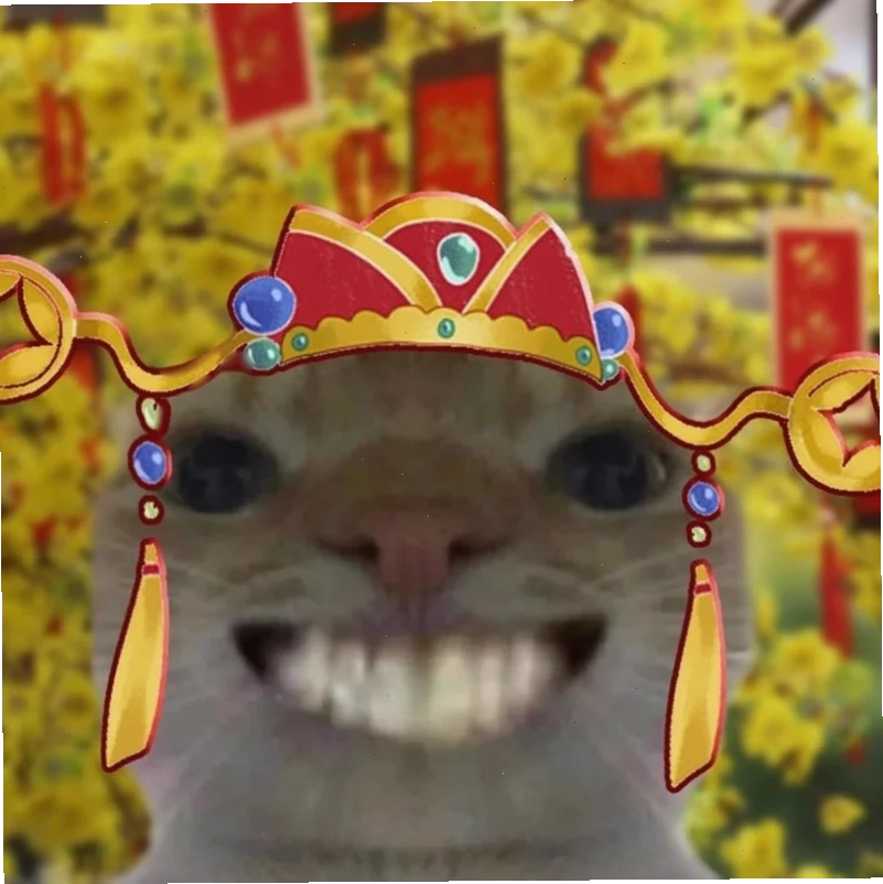 ảnh meme mèo tết