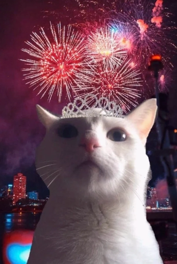ảnh meme mèo tết