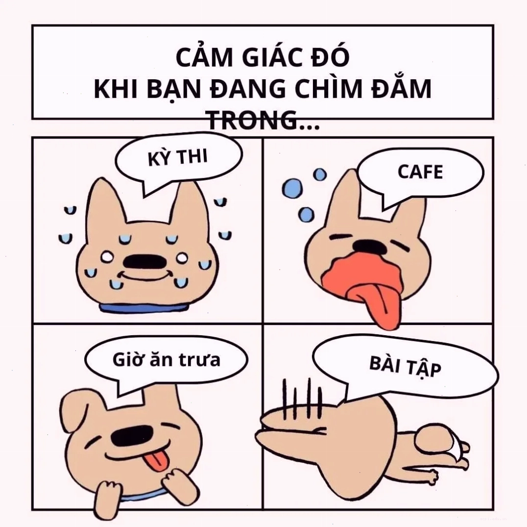 ảnh meme nằm khóc ấn tượng