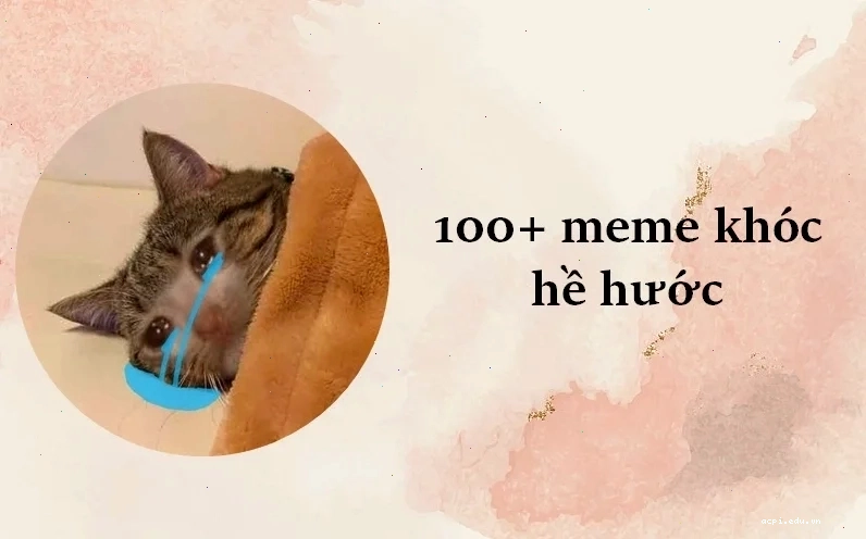 ảnh meme nằm khóc châm biếm