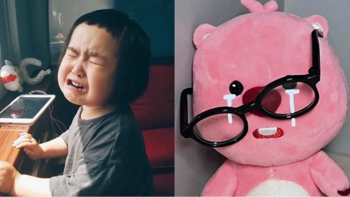 ảnh meme nằm khóc lóc