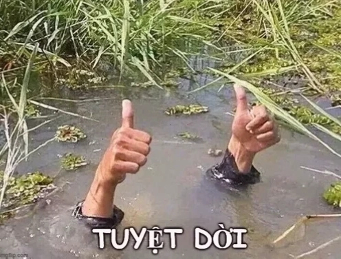 anh meme tuyệt vời độc