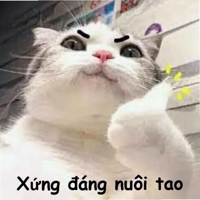 ảnh meme vì bạn xứng đáng viral