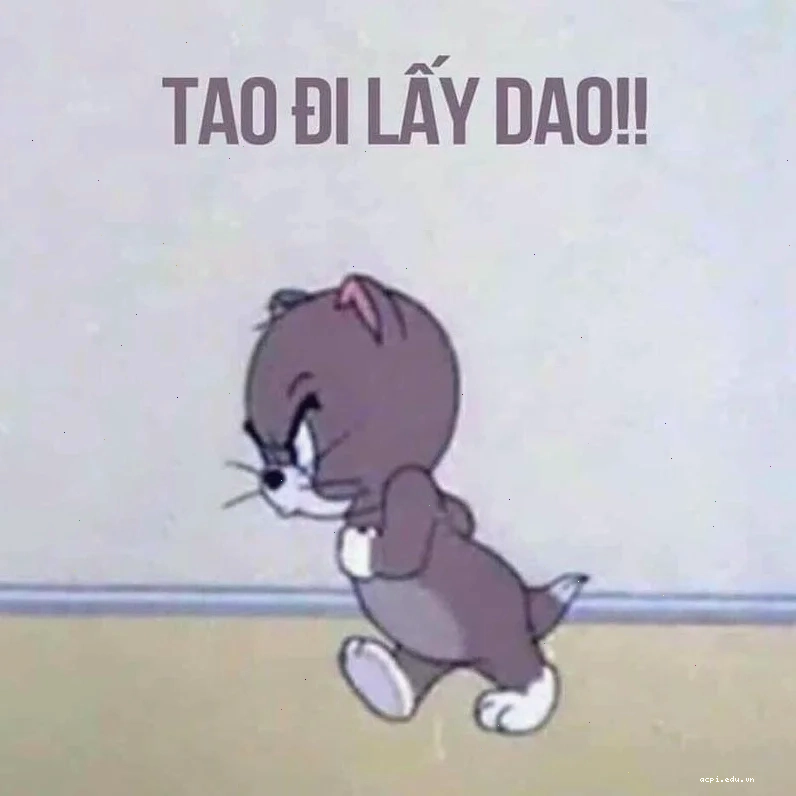 Ảnh meme vui
