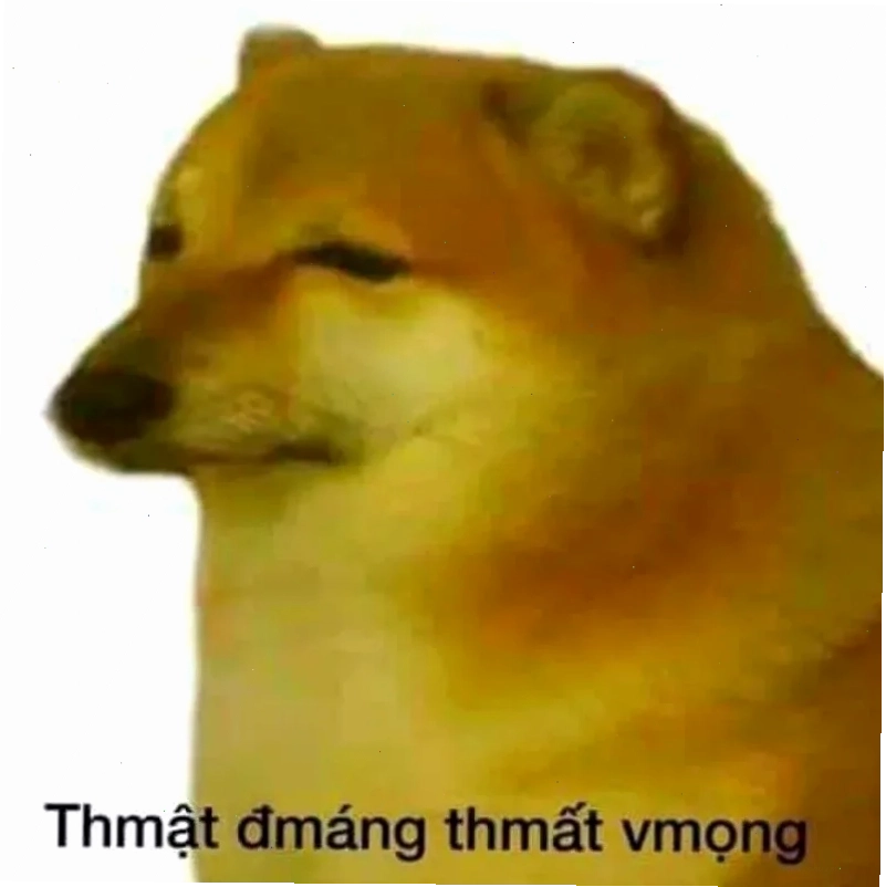 Ảnh meme vui