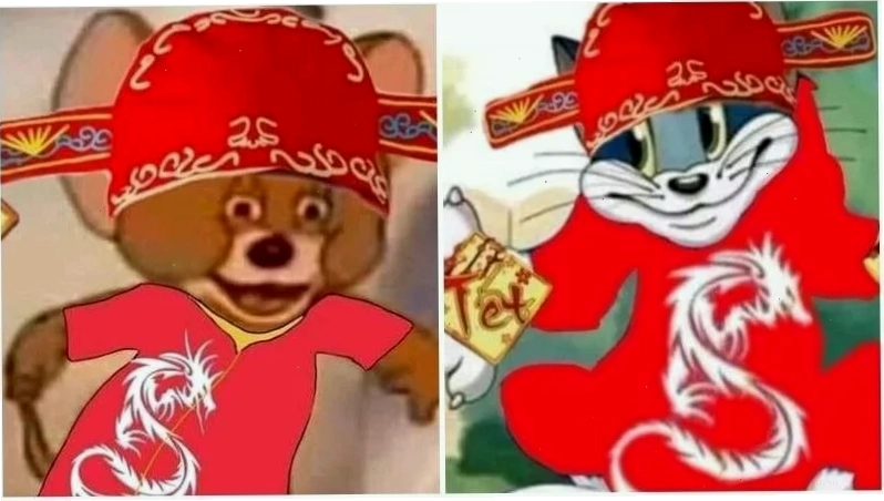 Ảnh mèo bựa tet meme