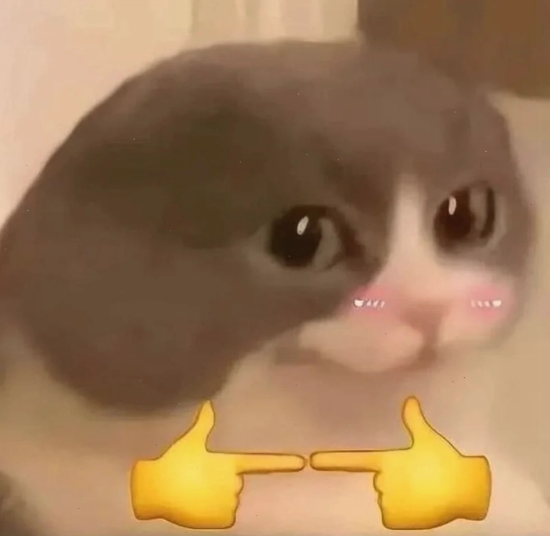 ảnh mèo đáng yêu meme hài hước