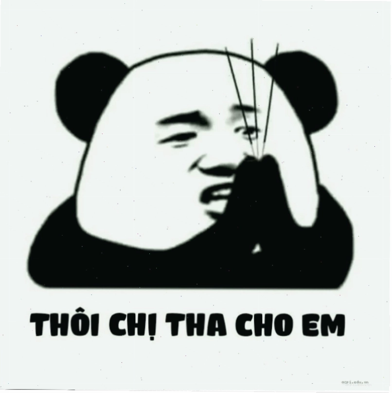 Ảnh mèo xin lỗi