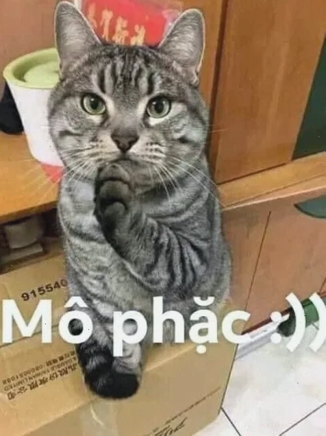 ảnh mô phật meme lạ