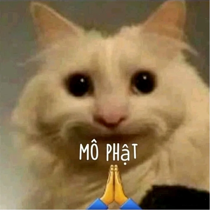 ảnh mô phật meme vui nhộn