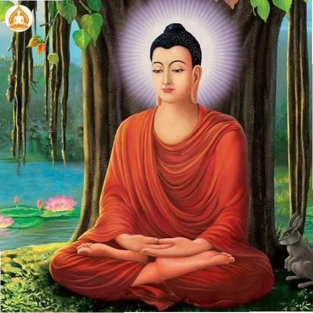 ảnh ngồi thiền meme kết