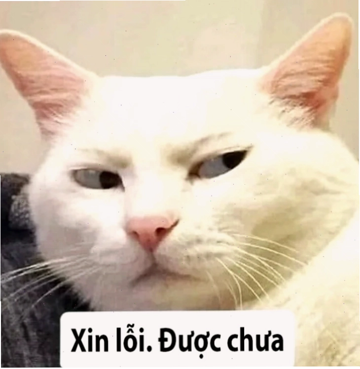 Ảnh thiện chí