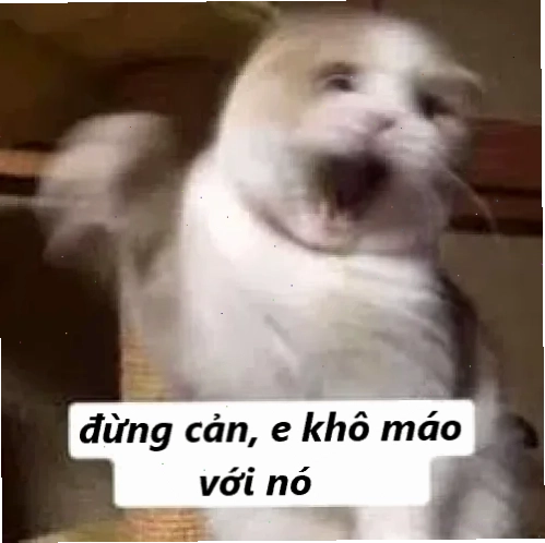 Ảnh troll để tao xử