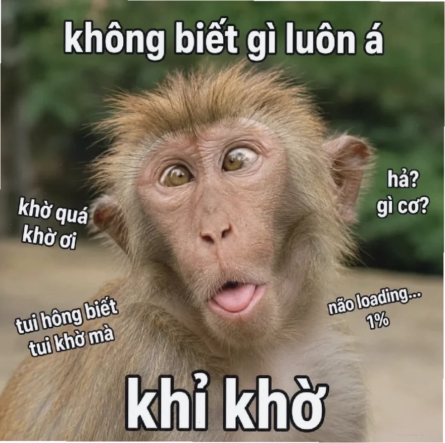Ảnh trong kho meme sound