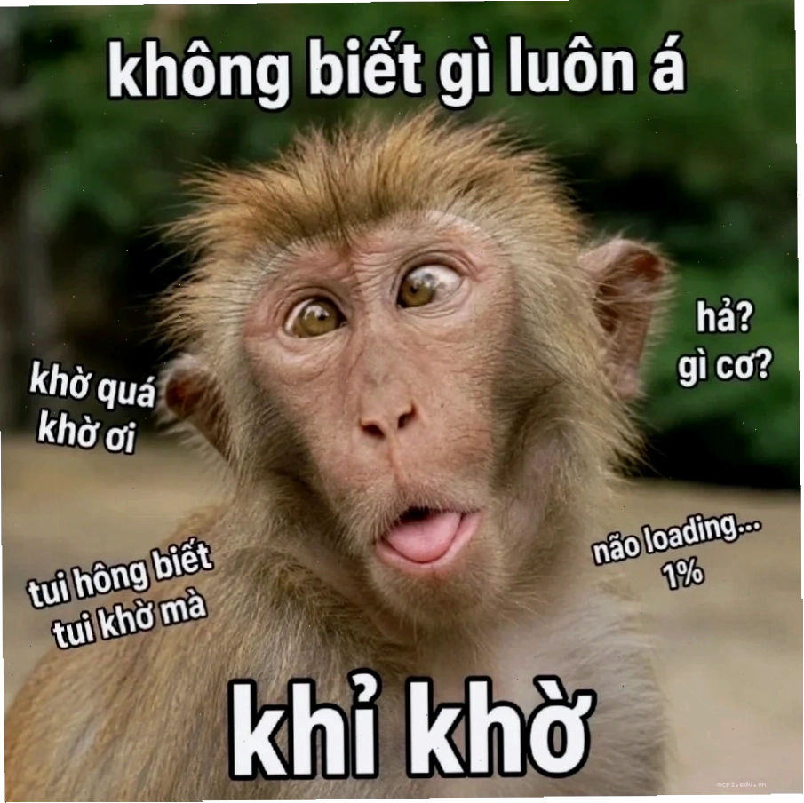 Ảnh trong kho meme sound
