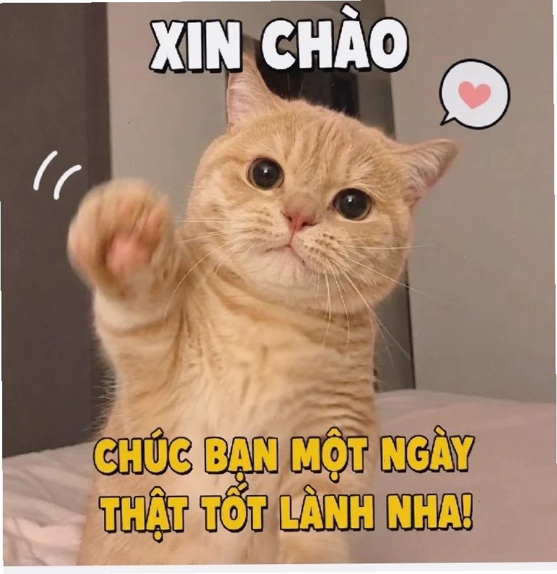 anhr meme anh da đen