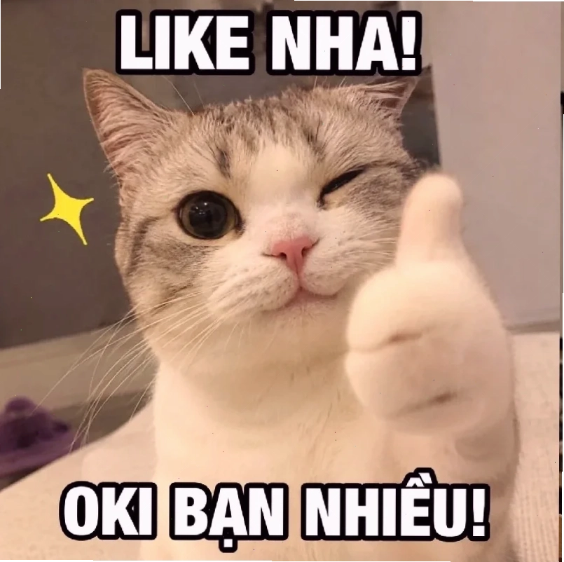 anhr meme chó cười