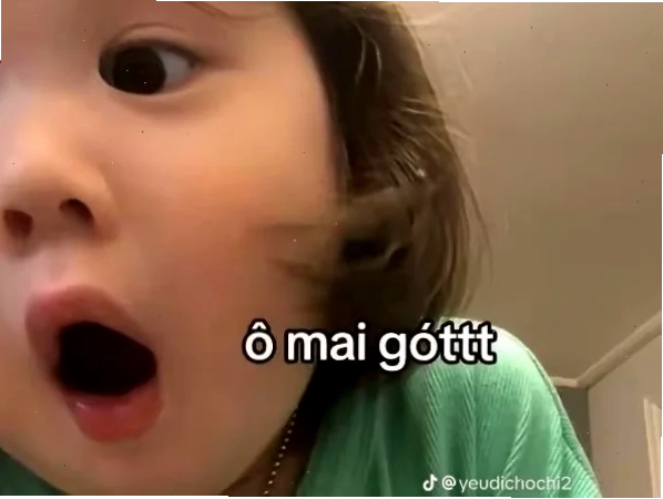 anhr meme mèo cười