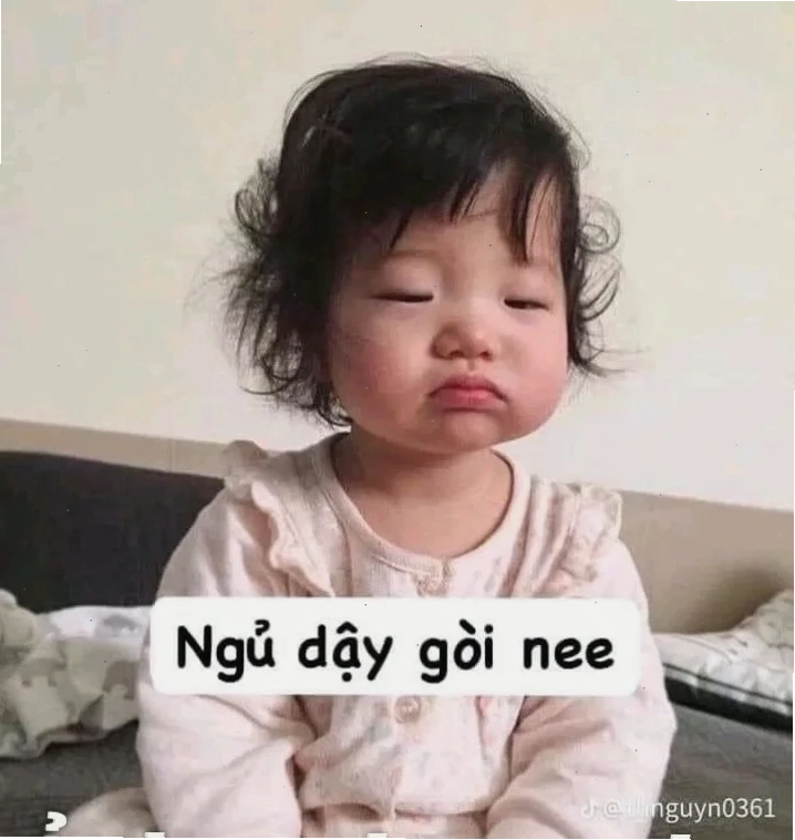 anhr meme mèo cute