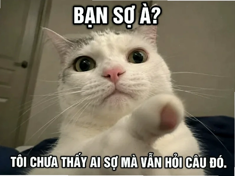 bạn là nhất meme cute