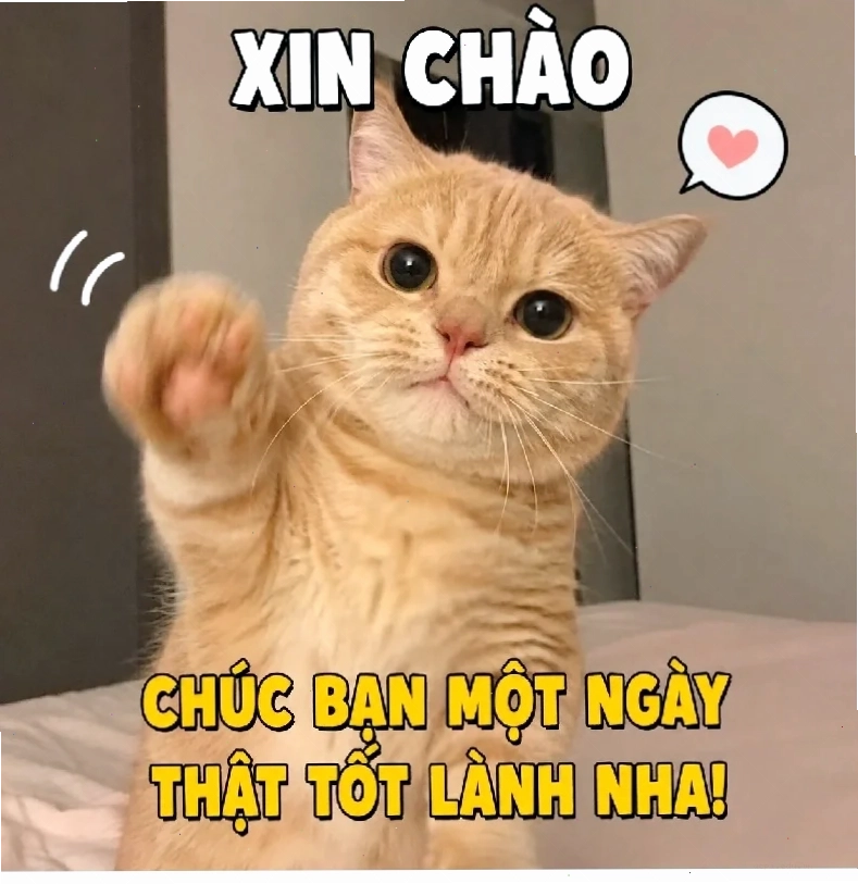 bạn là nhất meme đẹp