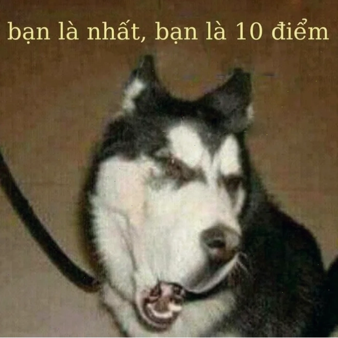 bạn là nhất meme độc đáo