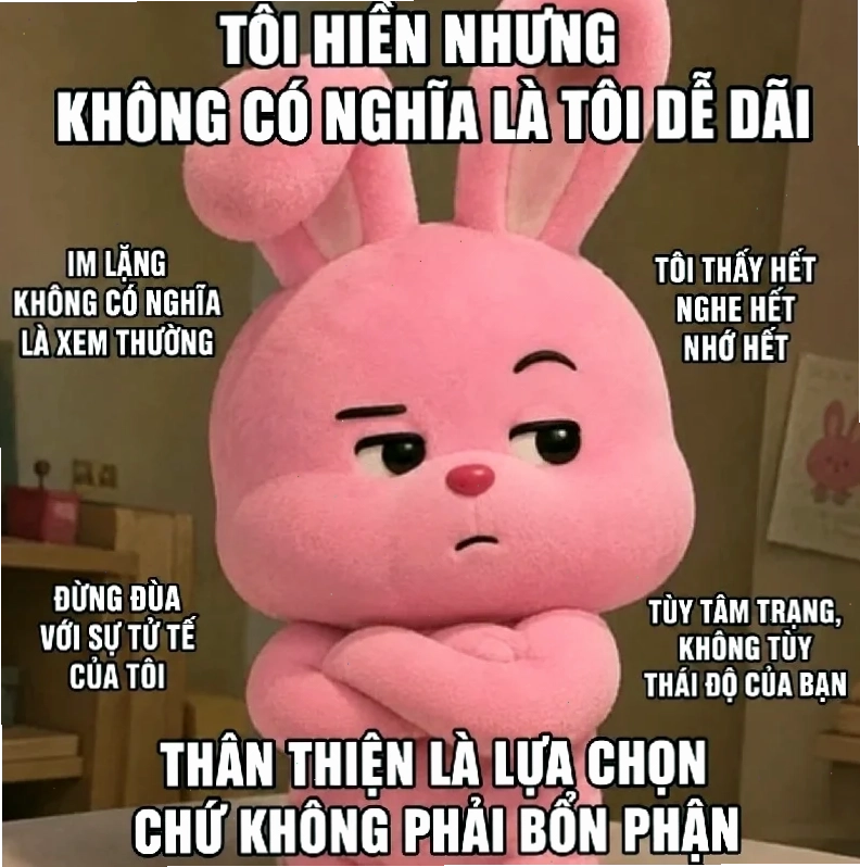 bạn là nhất meme độc lạ