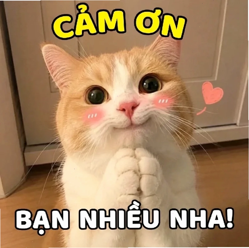bạn là nhất meme siêu hài