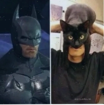 batman meme giải trí