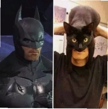 batman meme giải trí